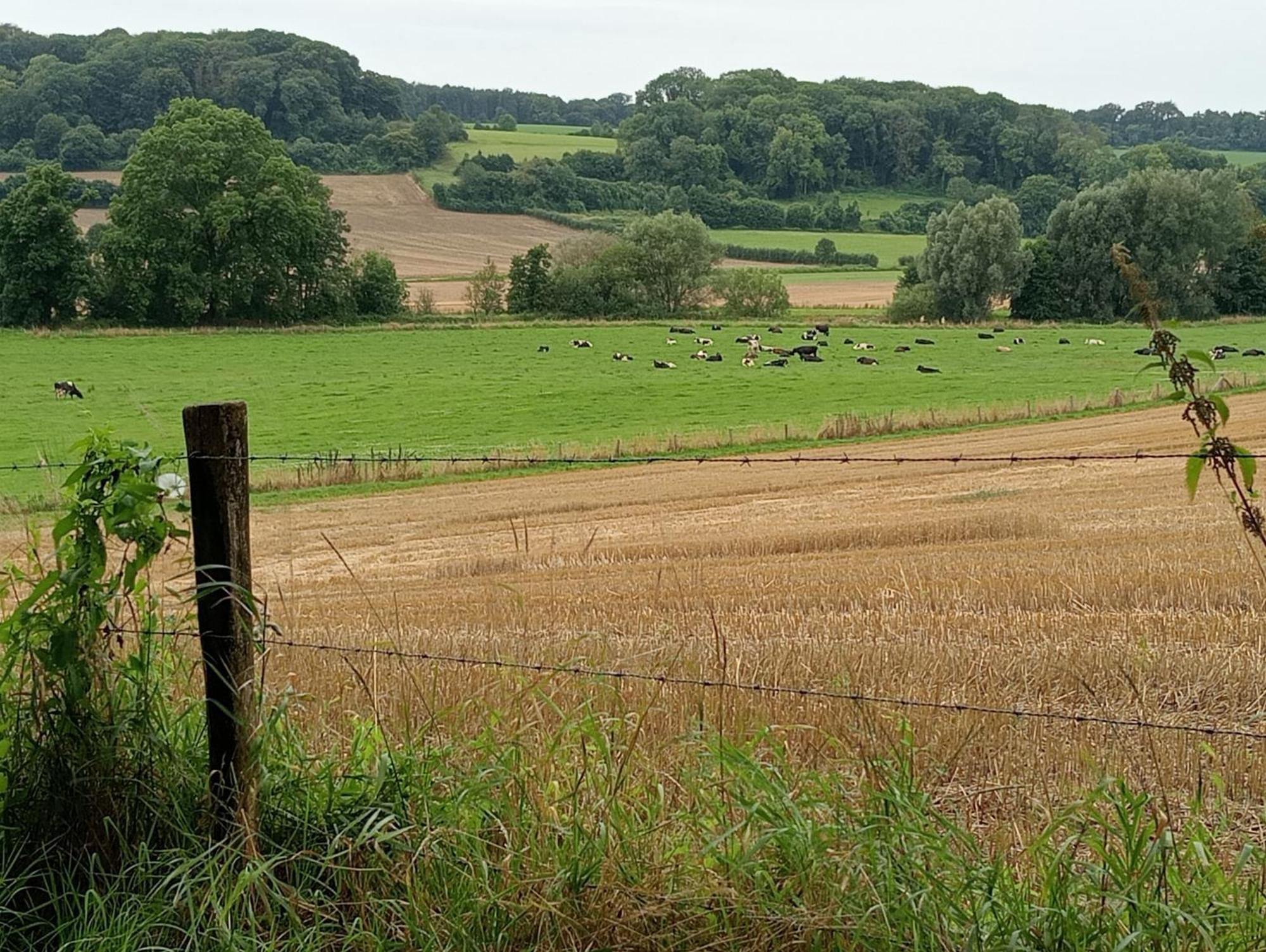 Bnb Het Geluk Van Limburg Мехелен Экстерьер фото