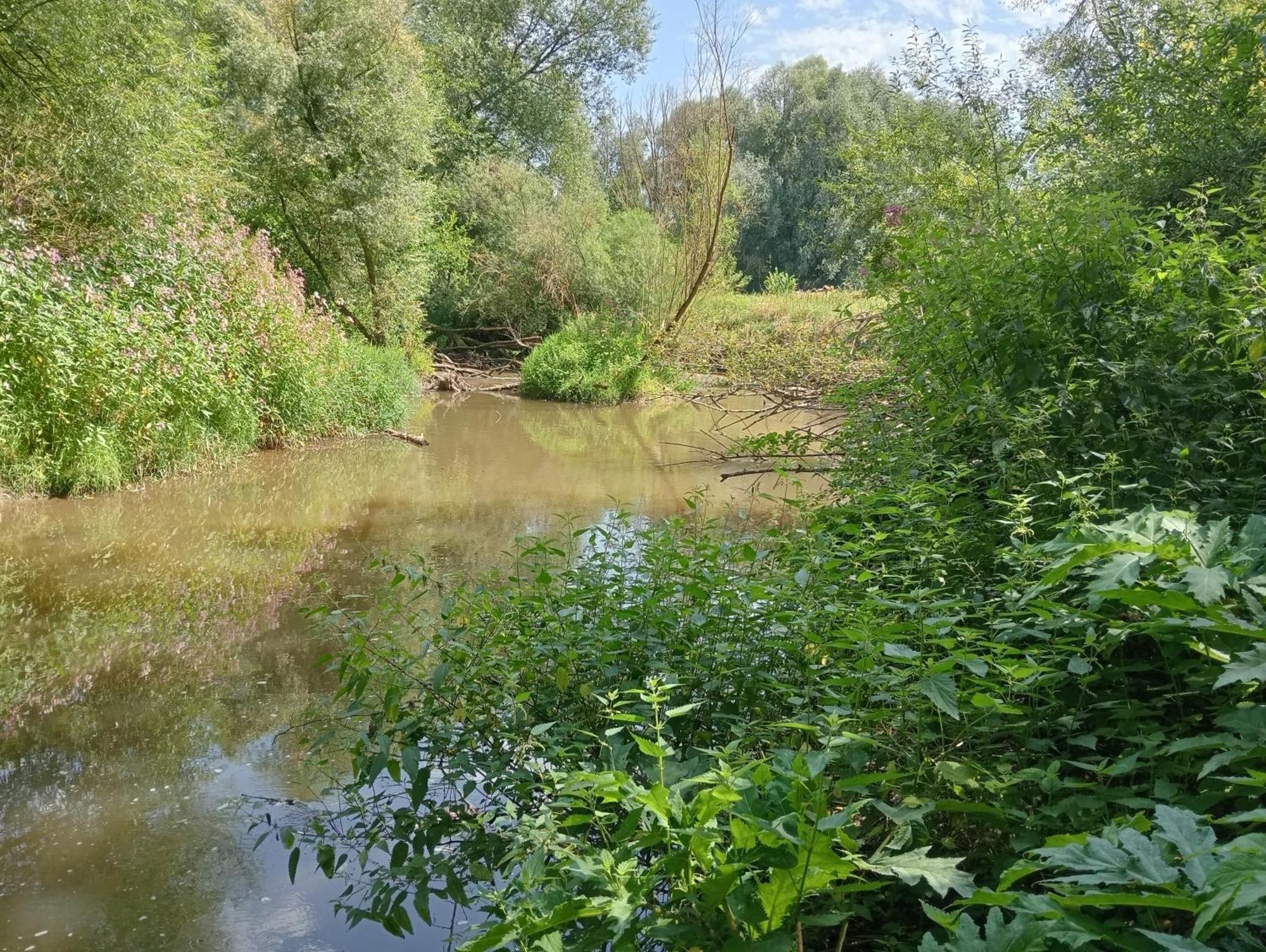 Bnb Het Geluk Van Limburg Мехелен Экстерьер фото