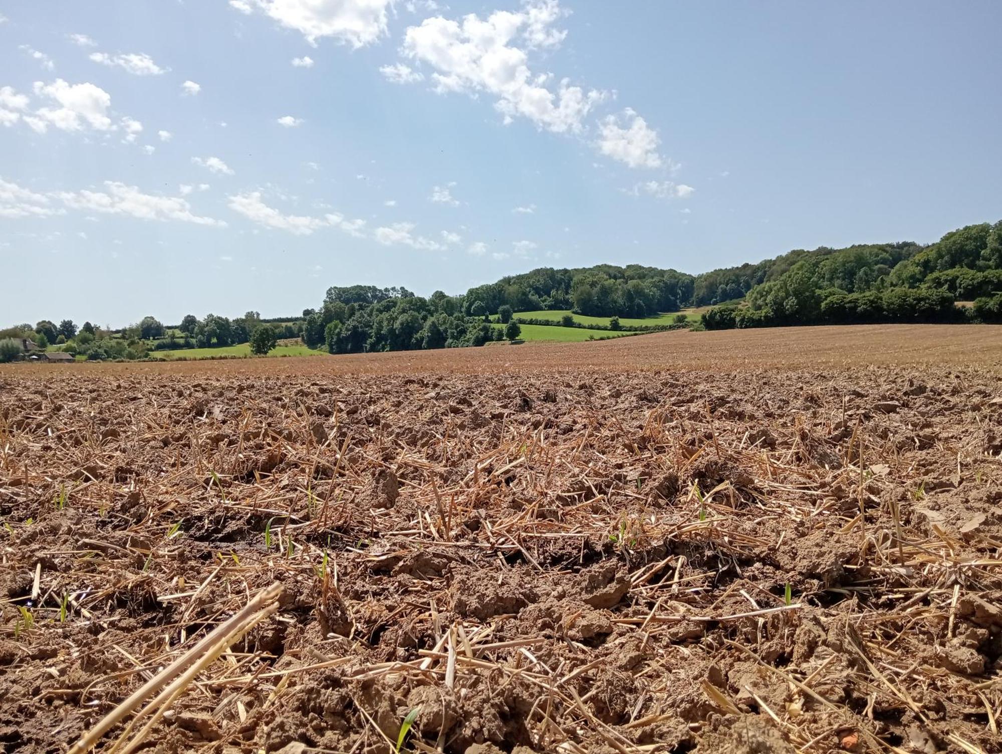 Bnb Het Geluk Van Limburg Мехелен Экстерьер фото