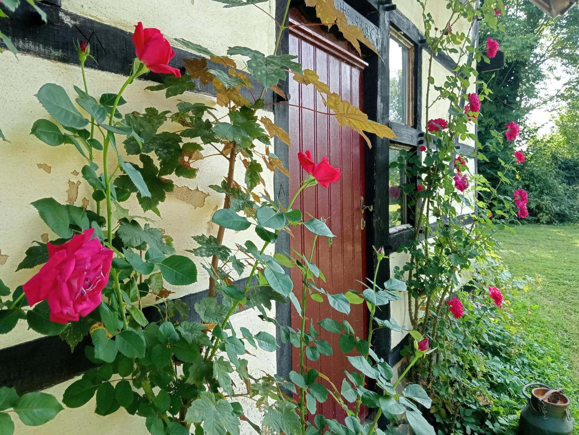 Bnb Het Geluk Van Limburg Мехелен Экстерьер фото